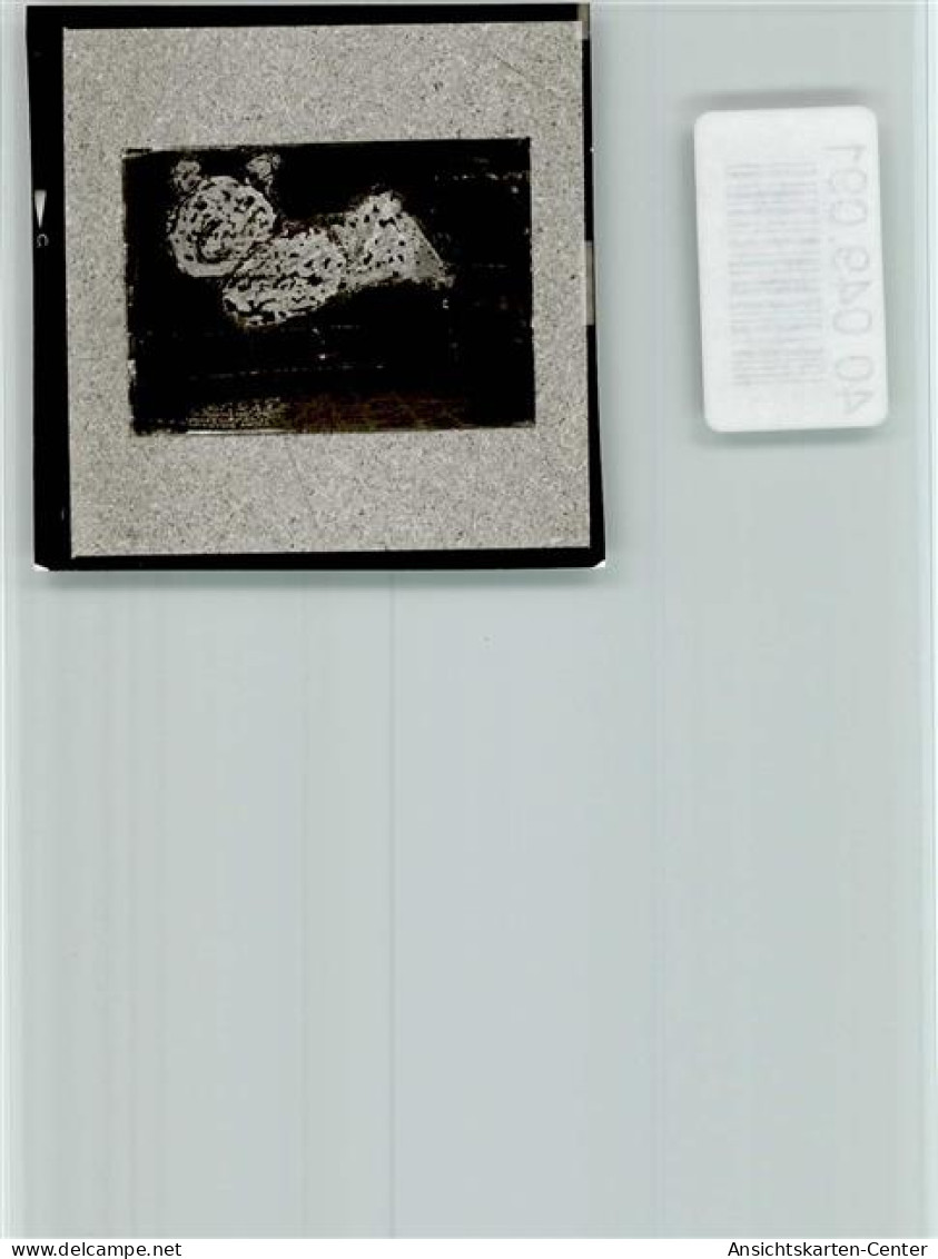 40049091 - Papenburg