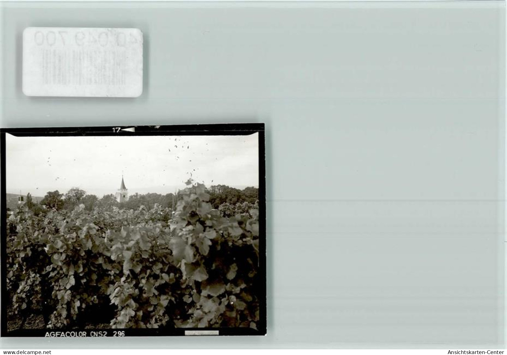 40049700 - Ingelheim am Rhein