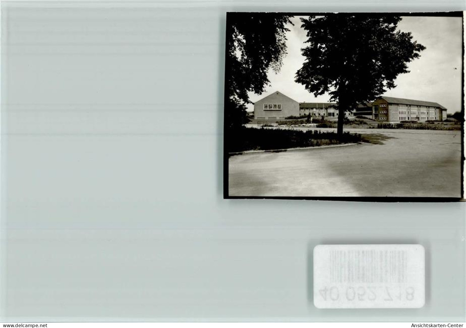 40052718 - Langelsheim