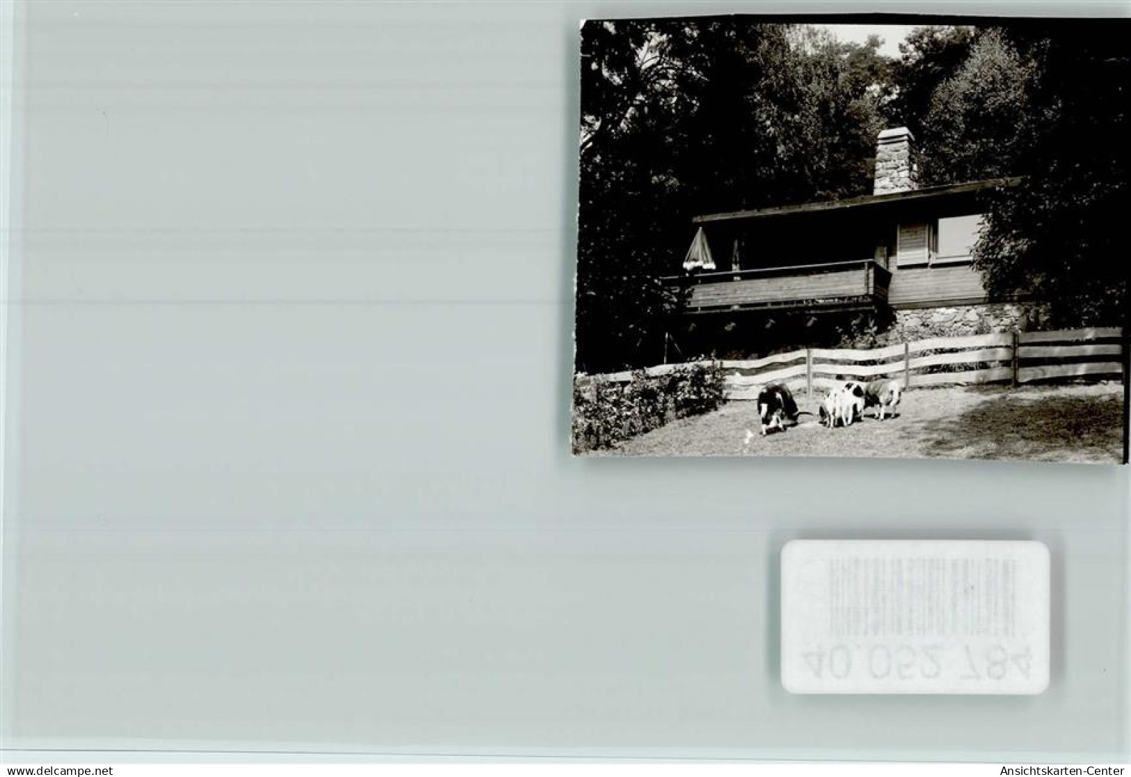 40052784 - Bad Gandersheim