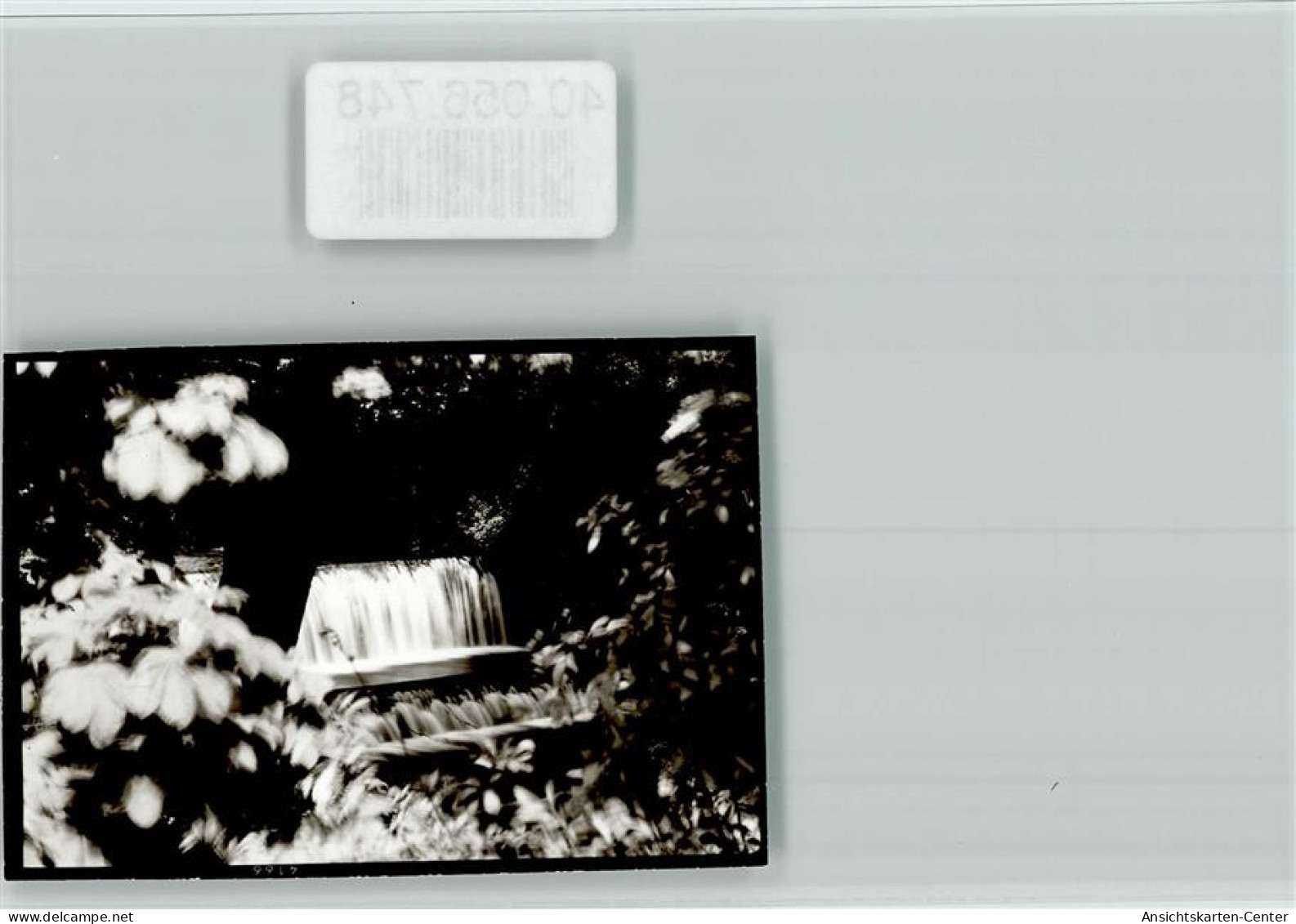 40056748 - Adelsheim