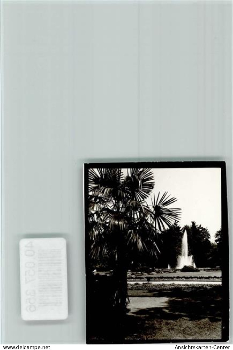 40057356 - Bad Lippspringe