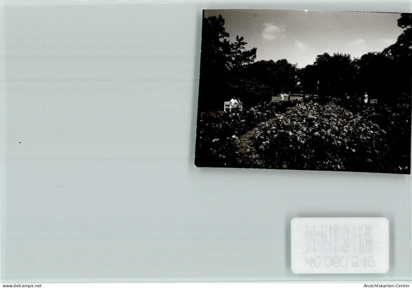 40060849 - Bad Sassendorf