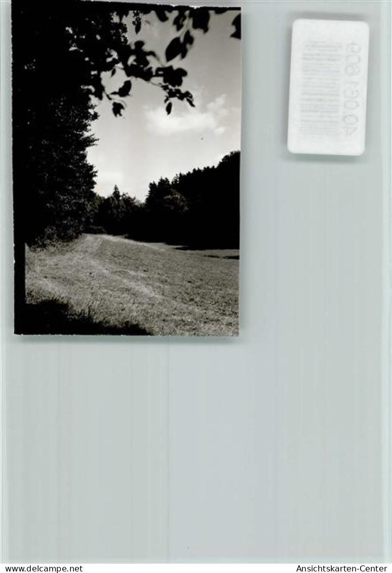 40061609 - Kastellaun