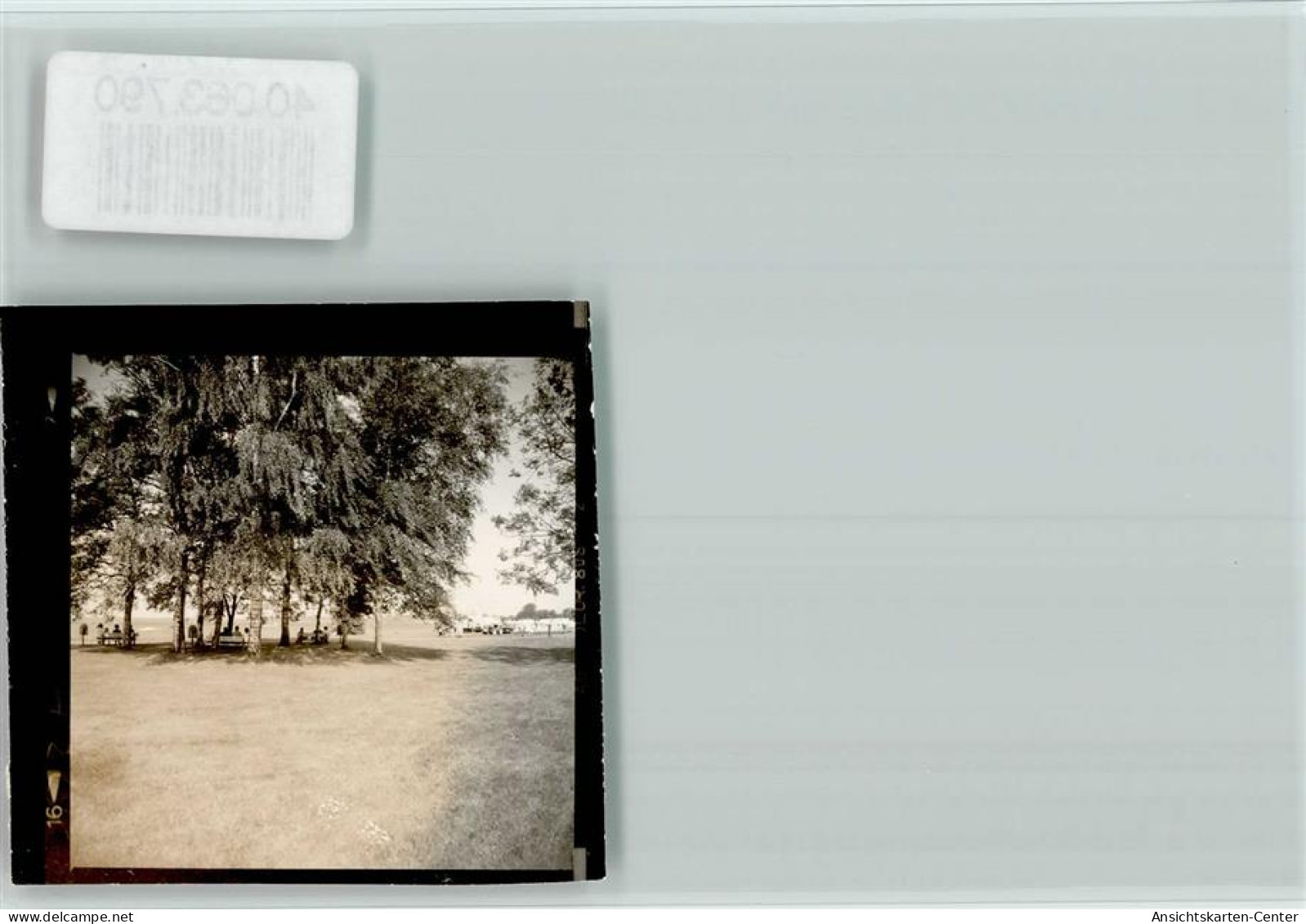 40063790 - Bad Zwischenahn