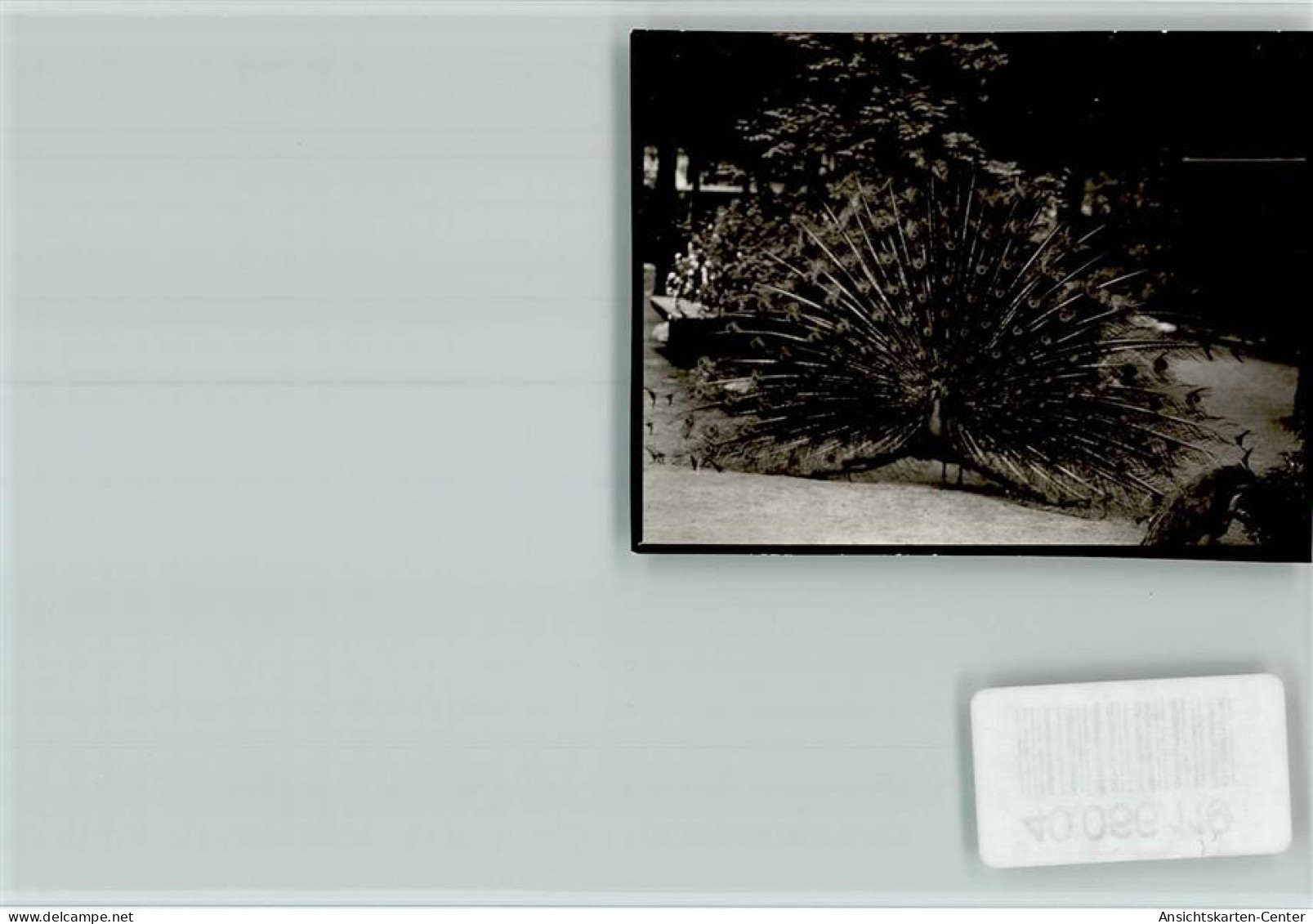 40066119 - Viernheim