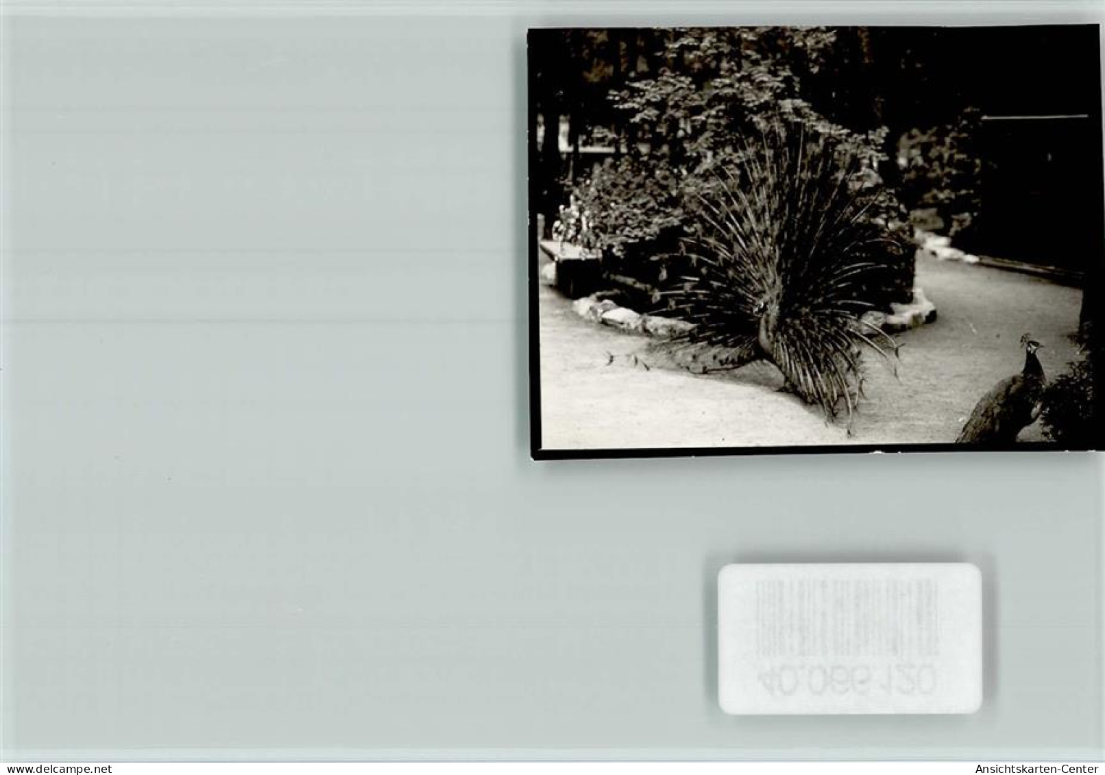 40066120 - Viernheim