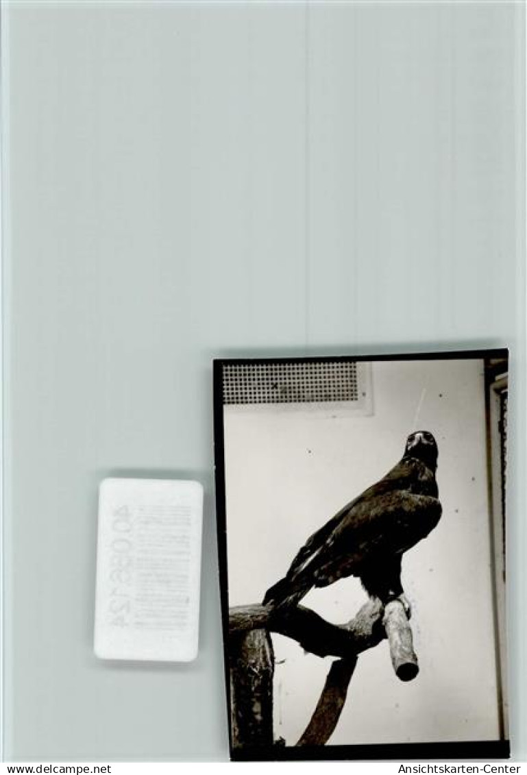 40066124 - Viernheim