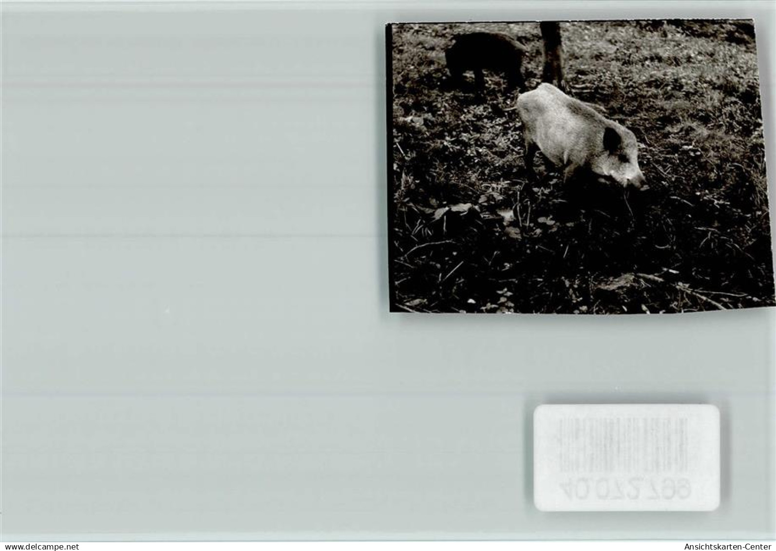 40072799 - Beverungen