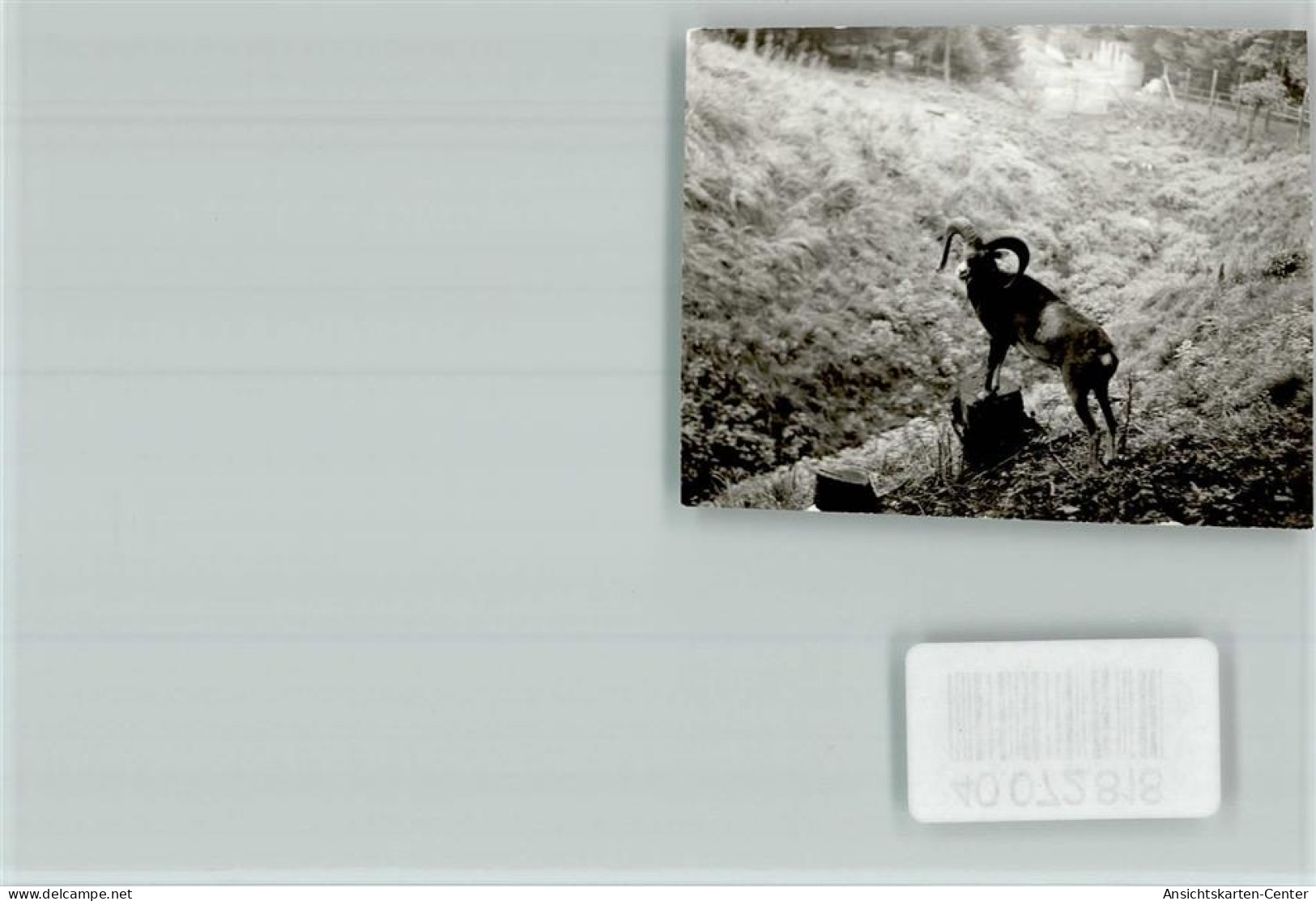 40072818 - Beverungen