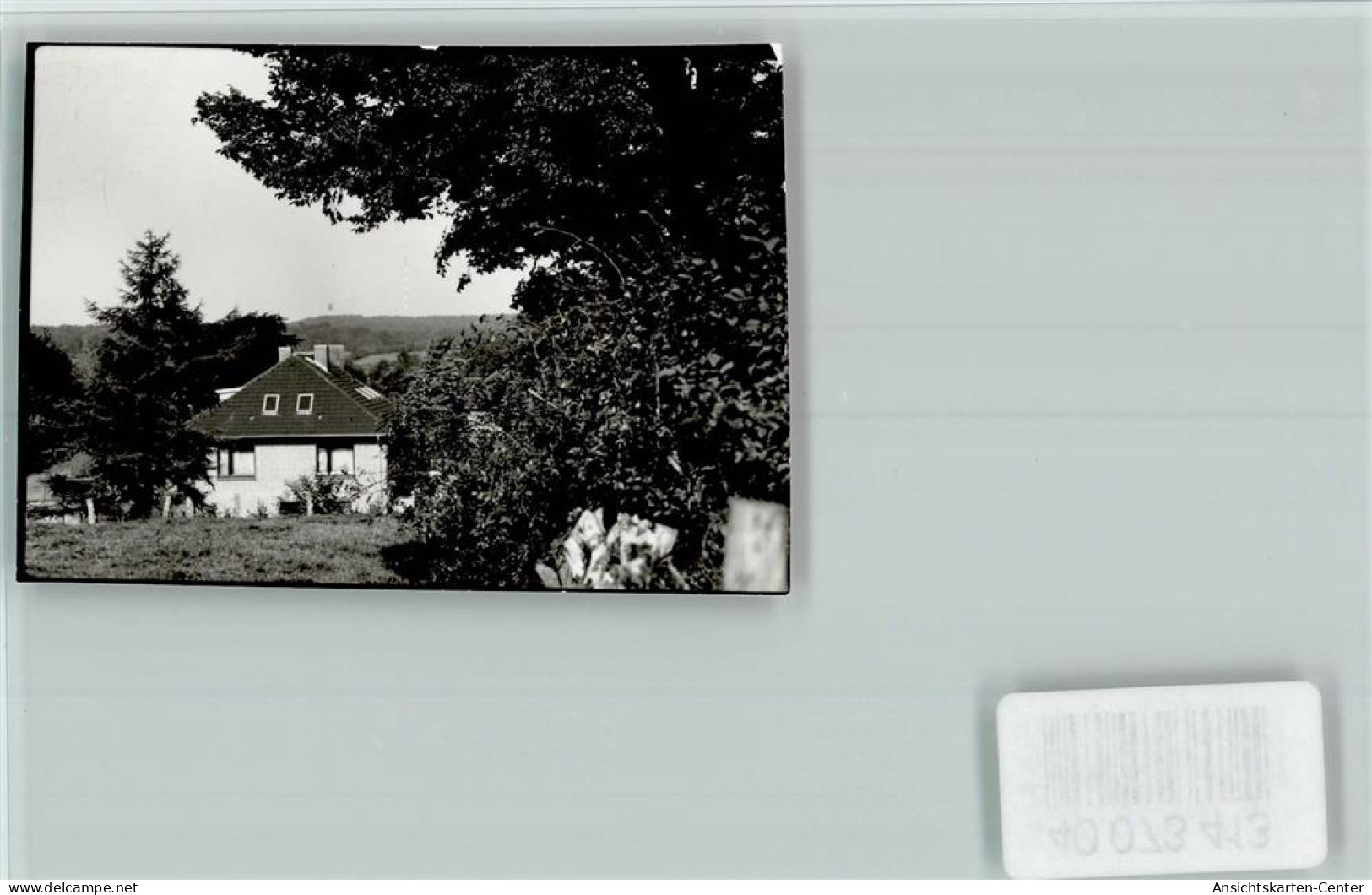 40073413 - Schoenwalde am Bungsberg