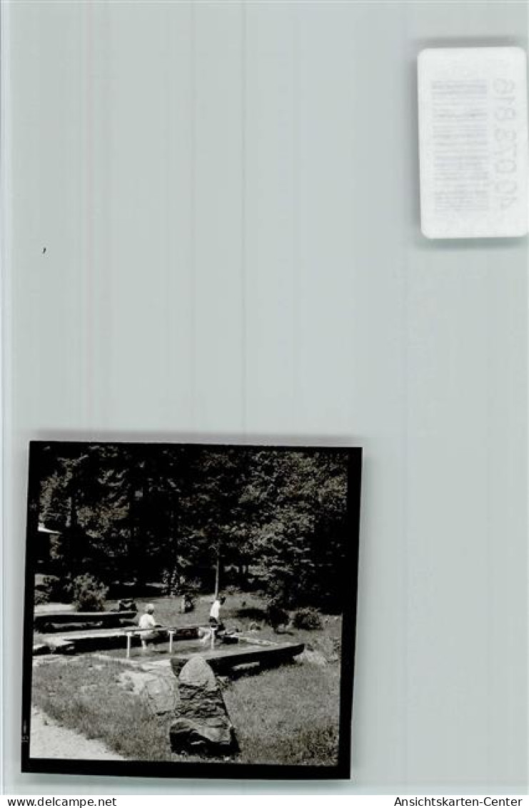 40073816 - Waldhoelzbach