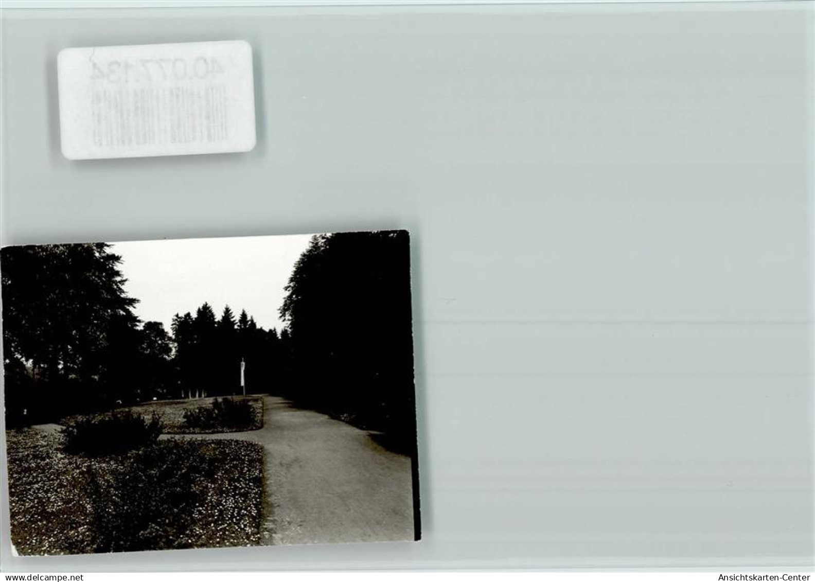 40077134 - Brakel , Westf