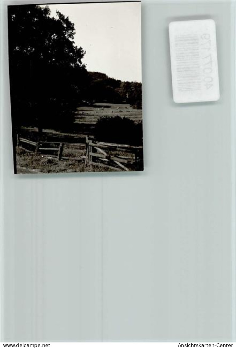 40077179 - Brakel , Westf