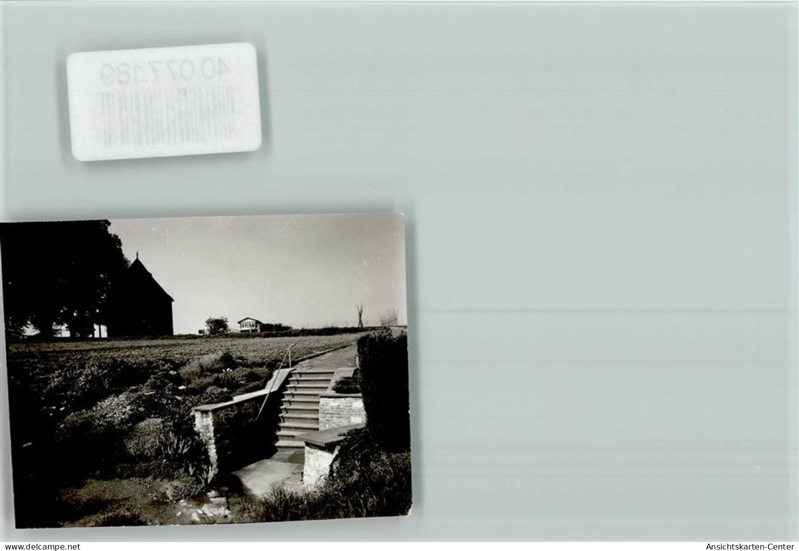 40077189 - Brakel , Westf