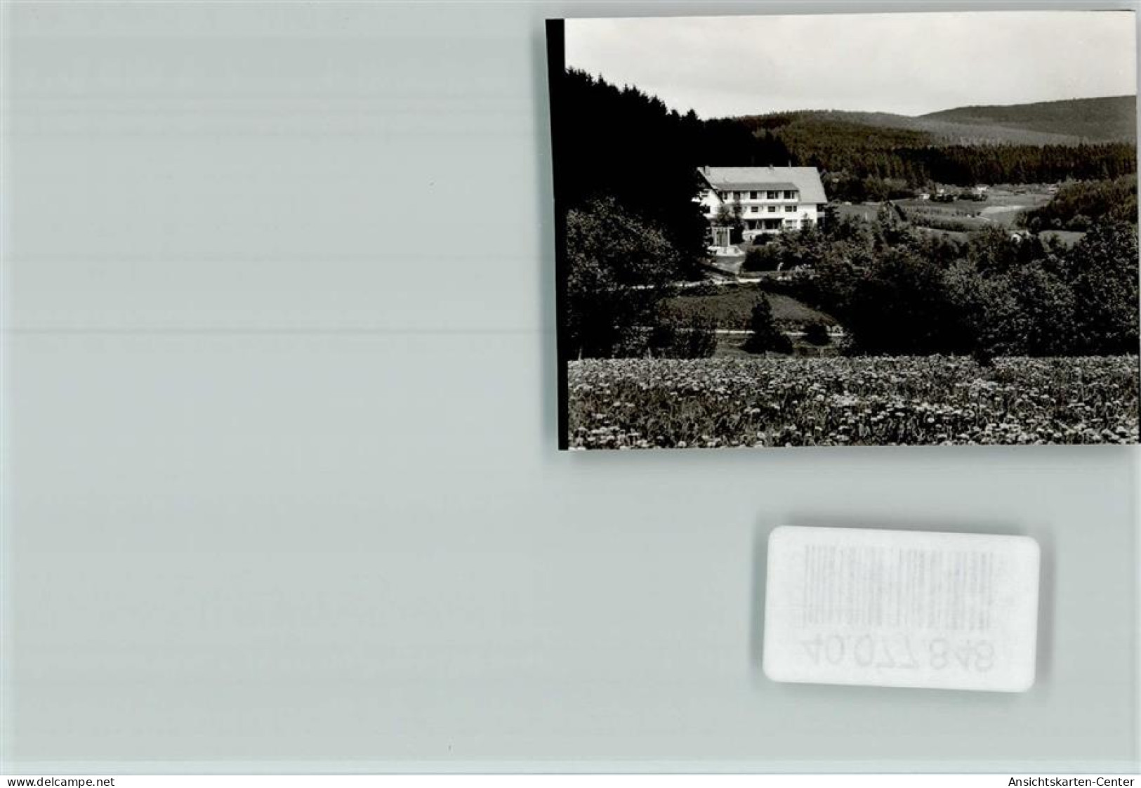 40077848 - Brilon-Wald