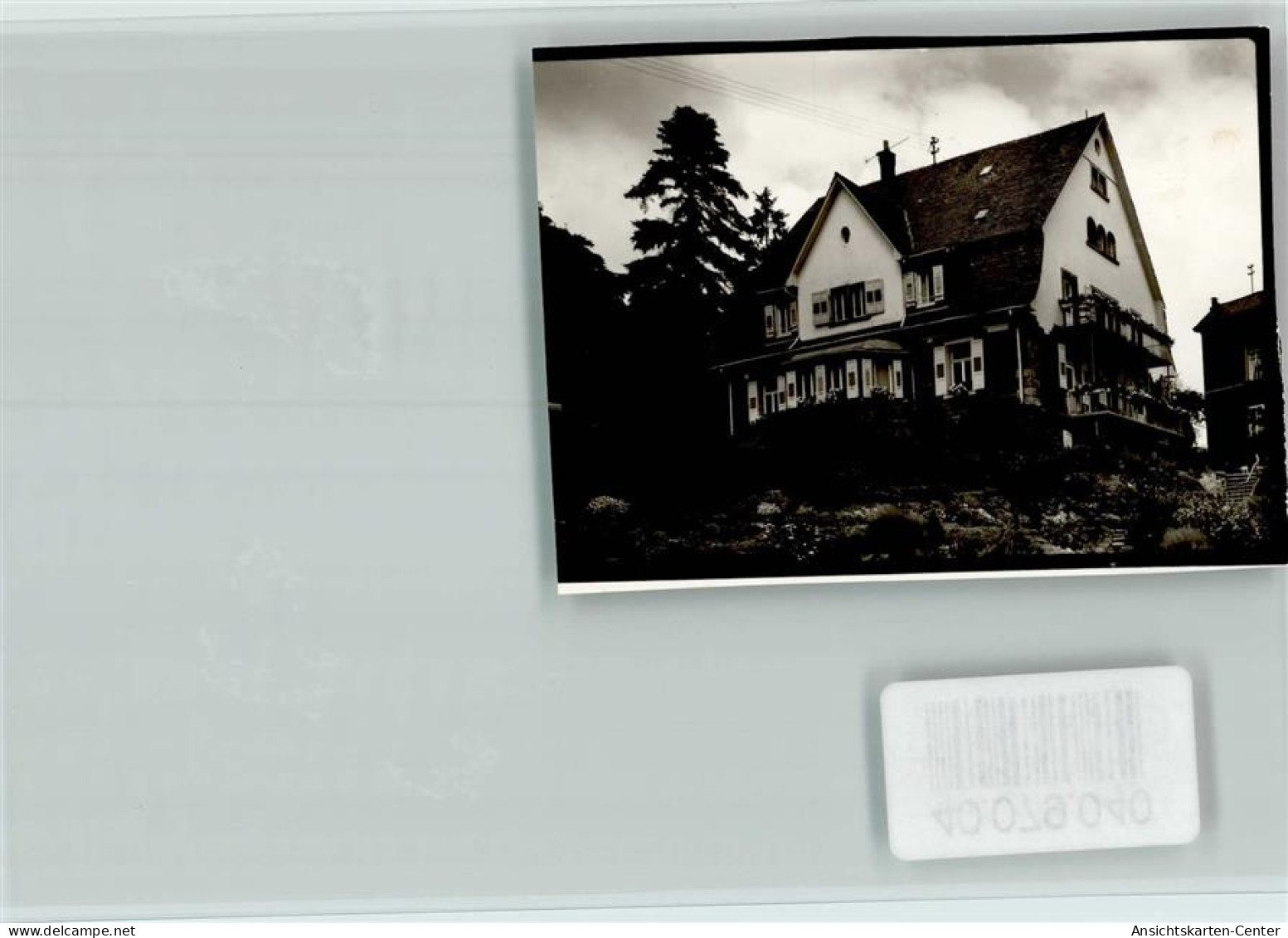 40079040 - Bad Bergzabern