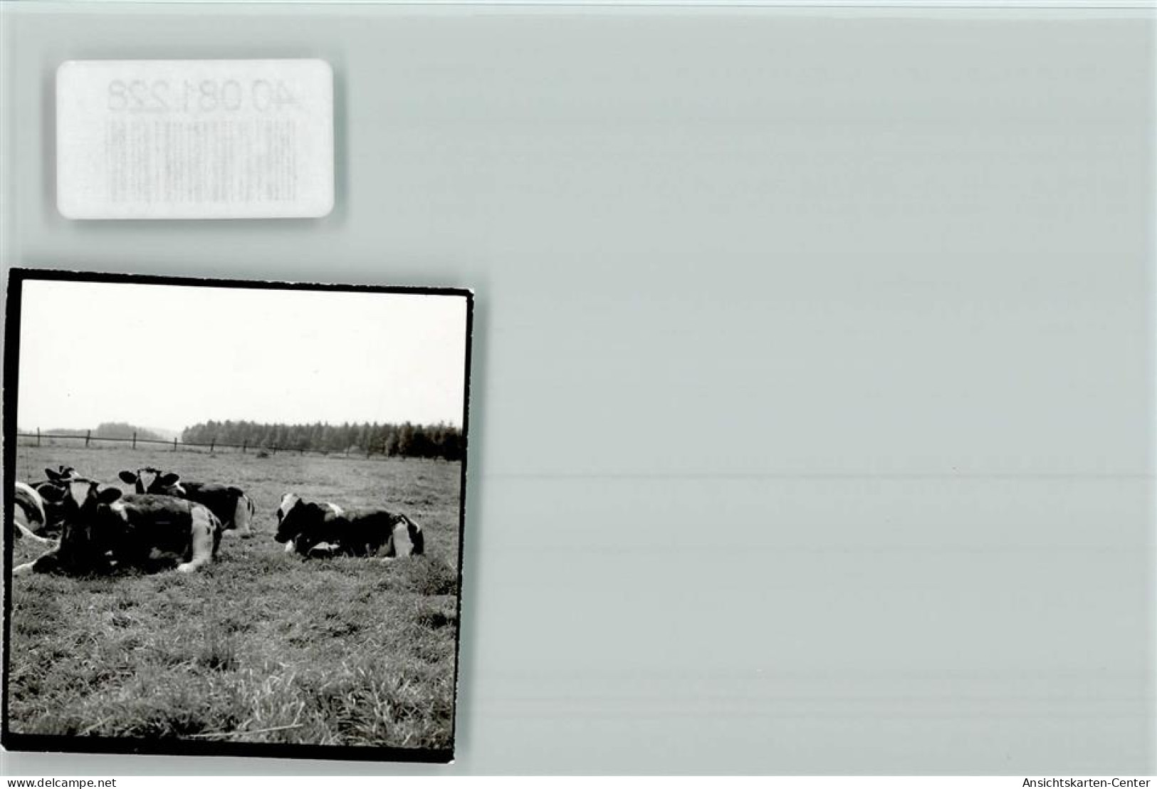 40081228 - Wuennenberg