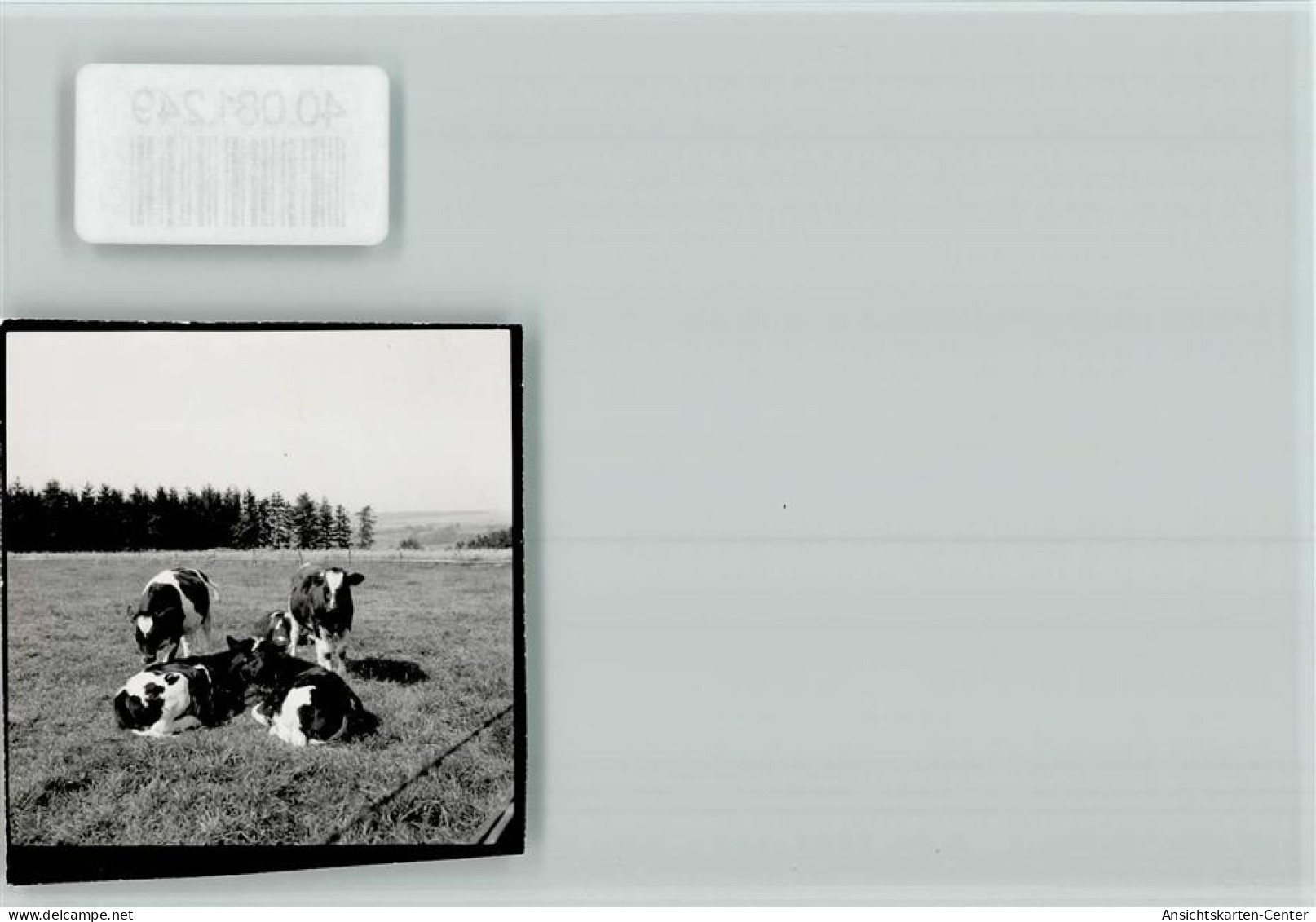 40081249 - Wuennenberg