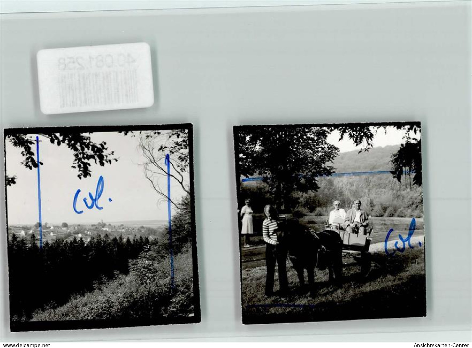 40081258 - Wuennenberg