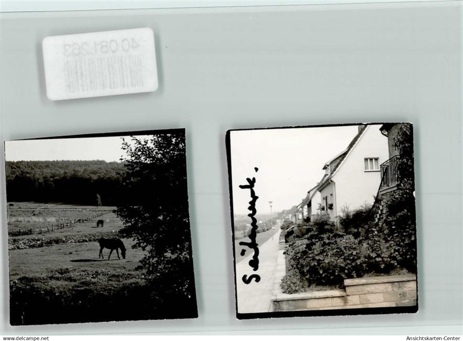 40081263 - Wuennenberg