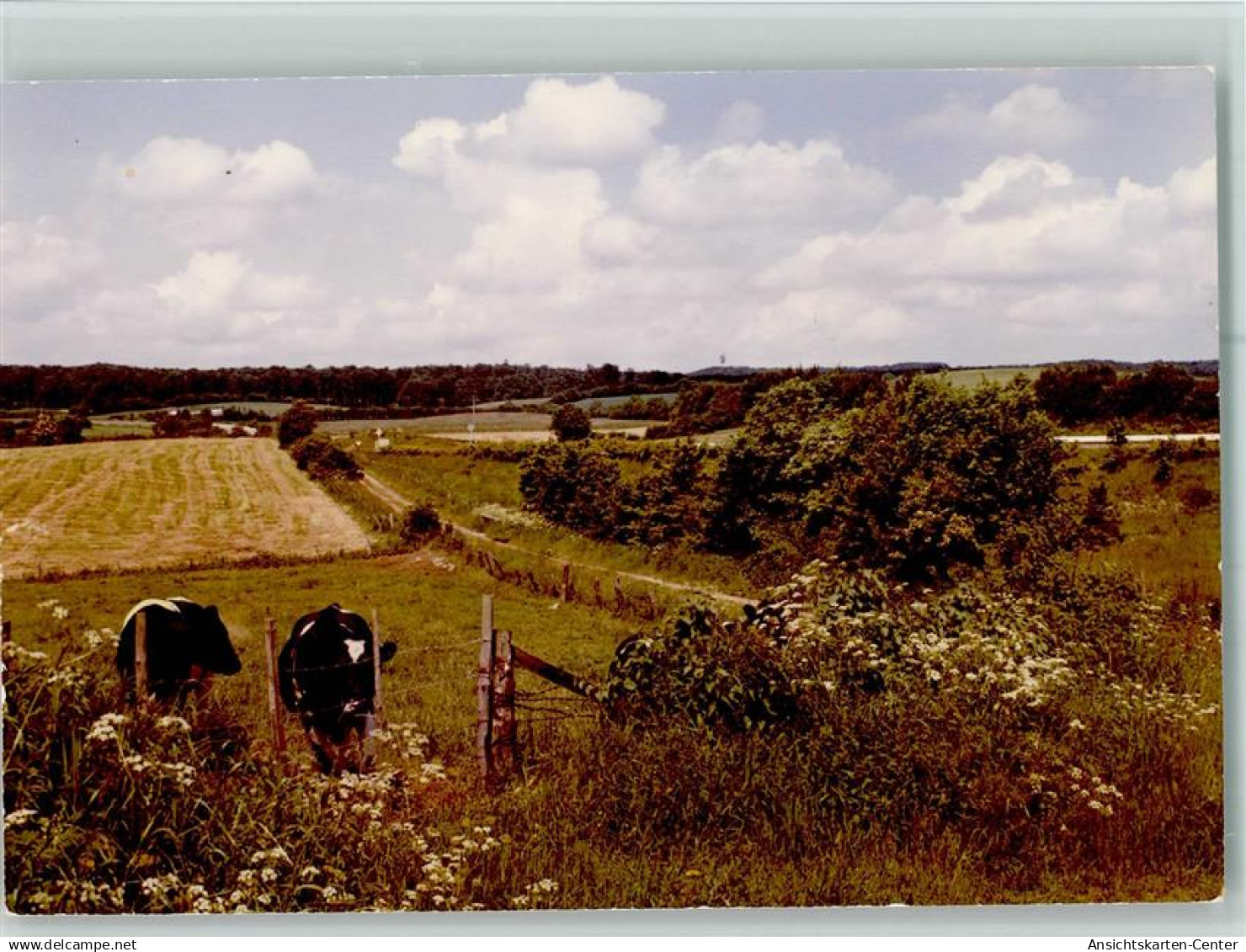 40088398 - Schoenwalde am Bungsberg