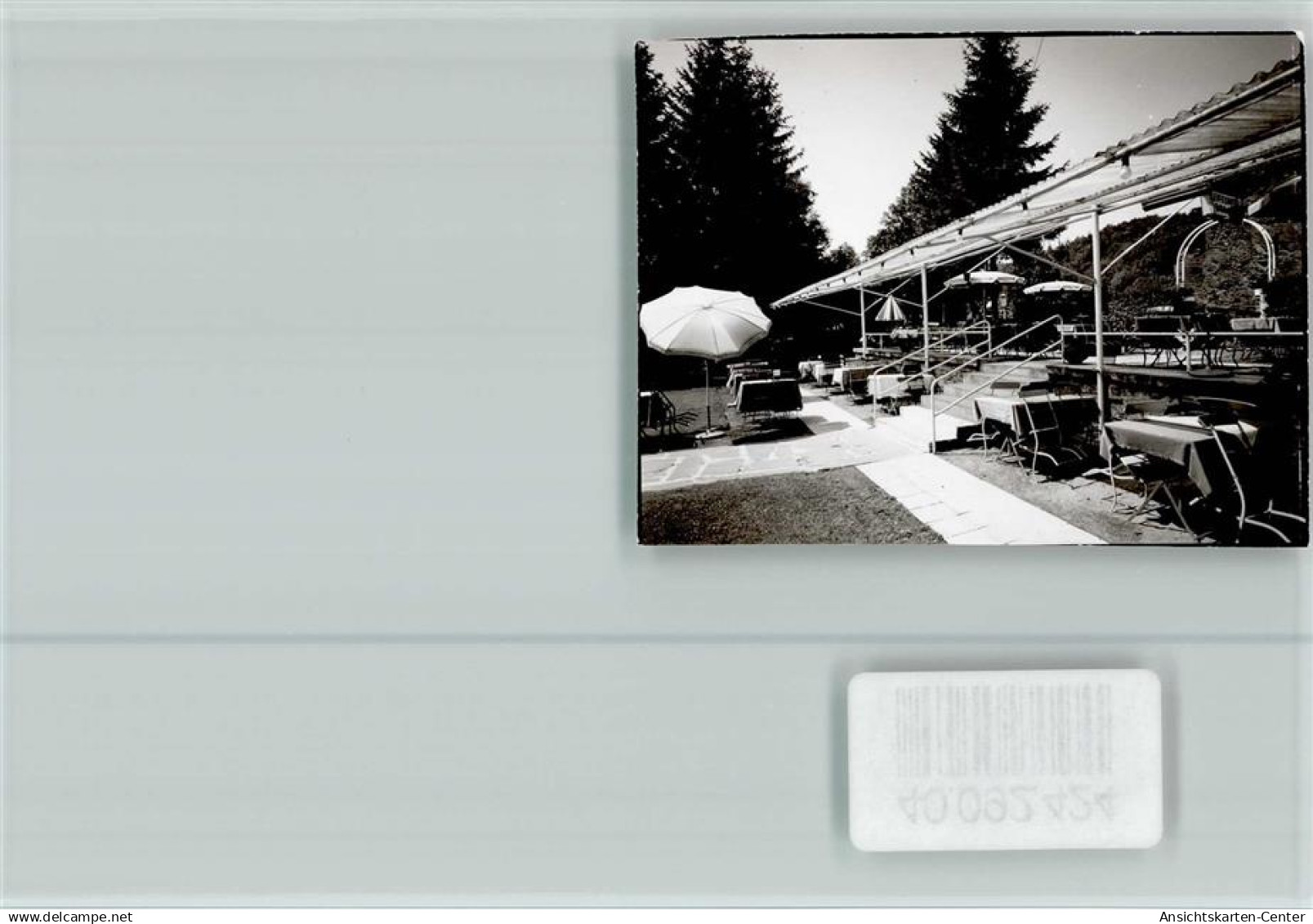 40092424 - Mayen