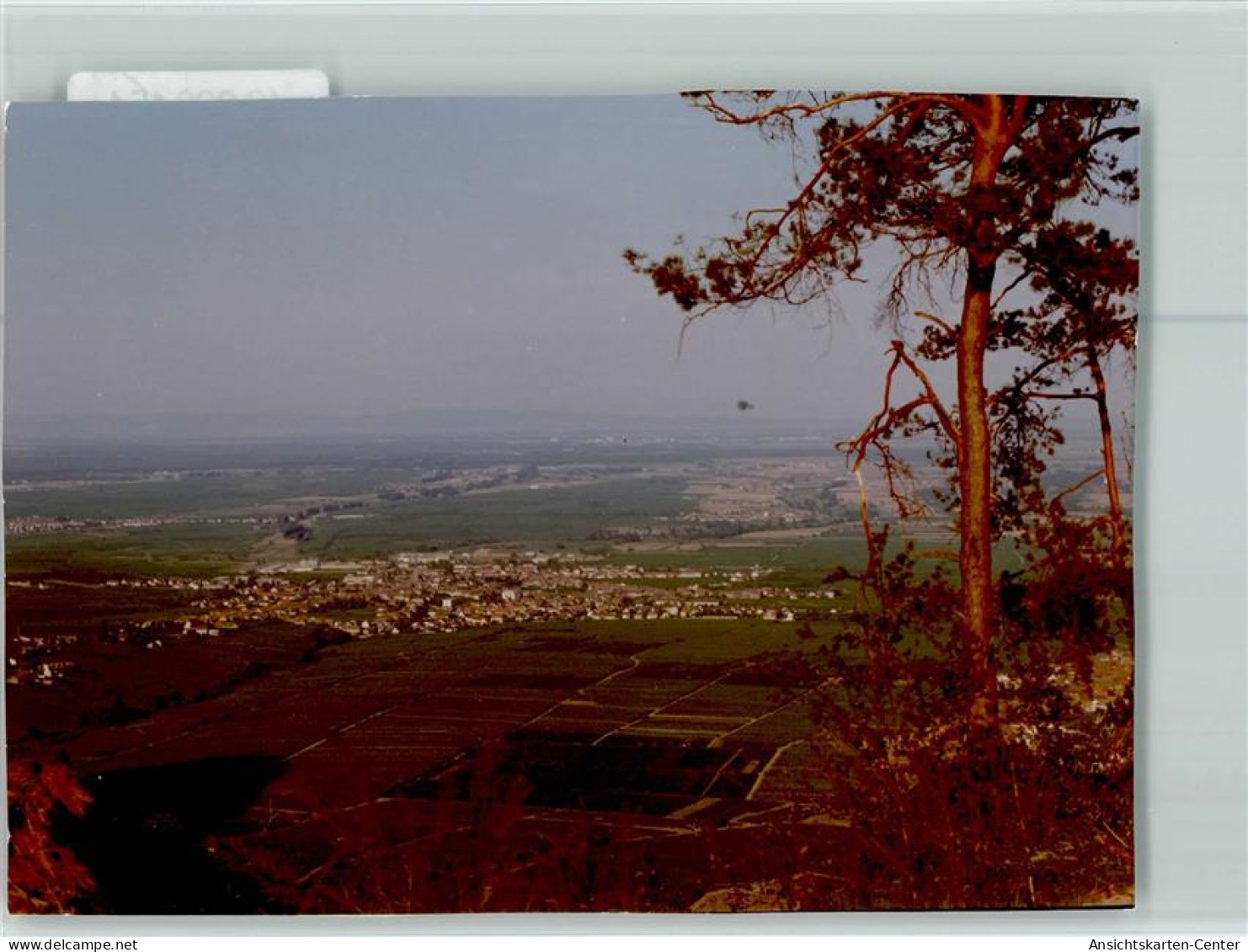 40093154 - Edenkoben