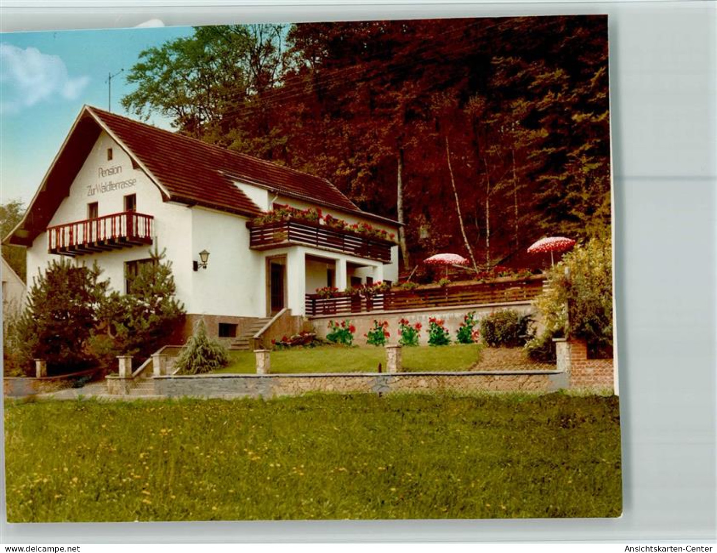 40093936 - Waldhoelzbach