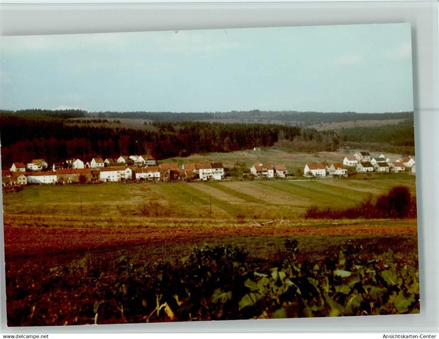 40093945 - Waldhoelzbach