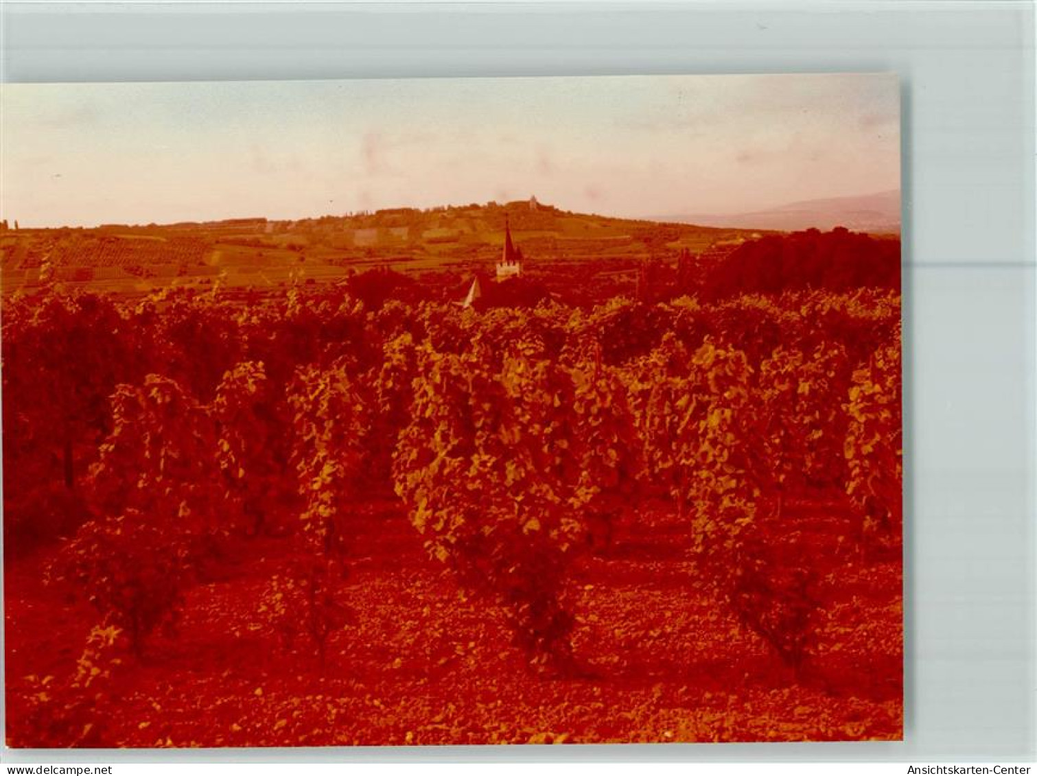 40094440 - Ingelheim am Rhein