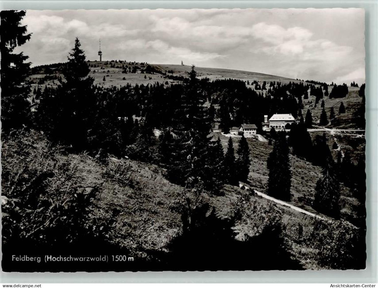 40106034 - Feldberg , Schwarzwald