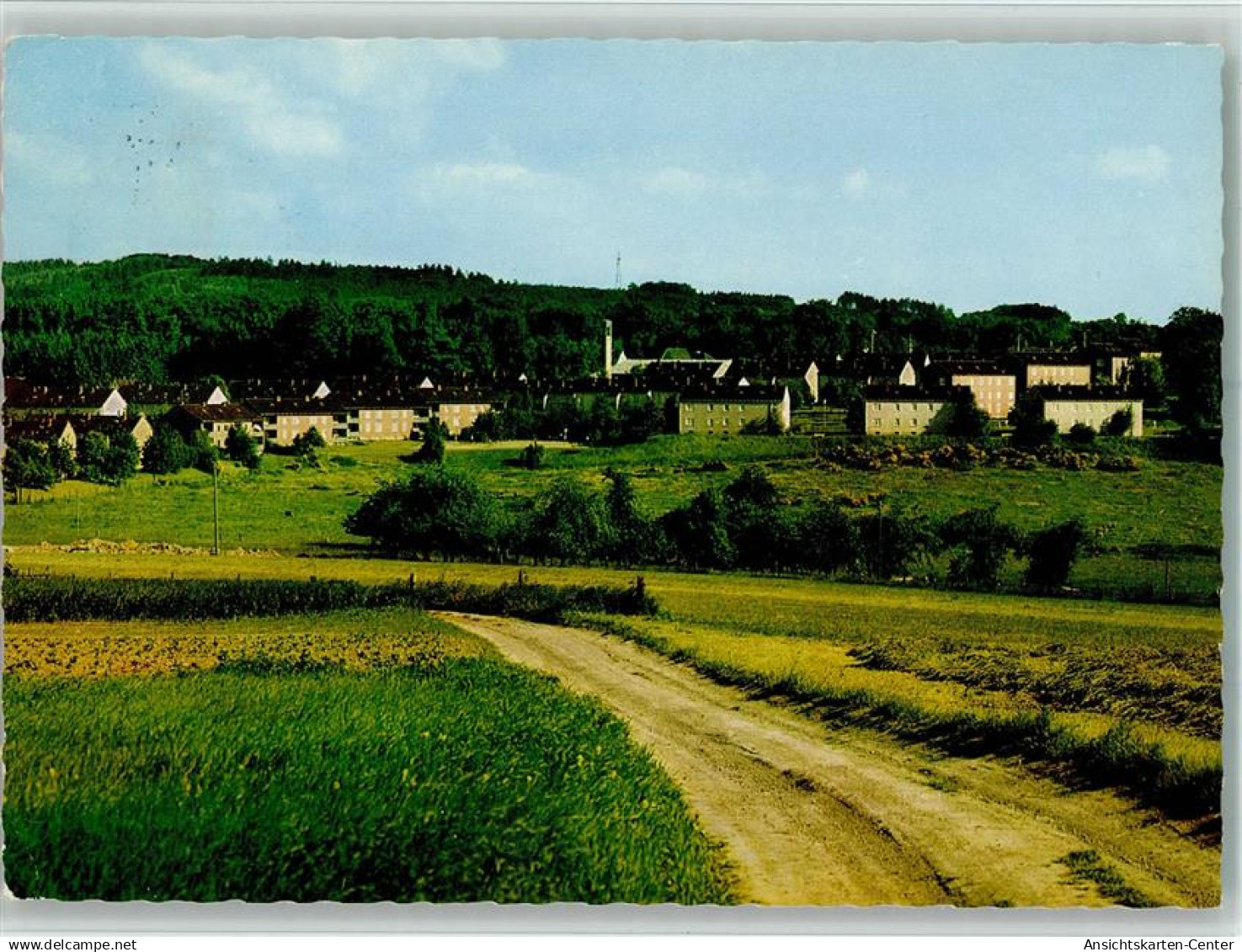 40112897 - Waldbroel