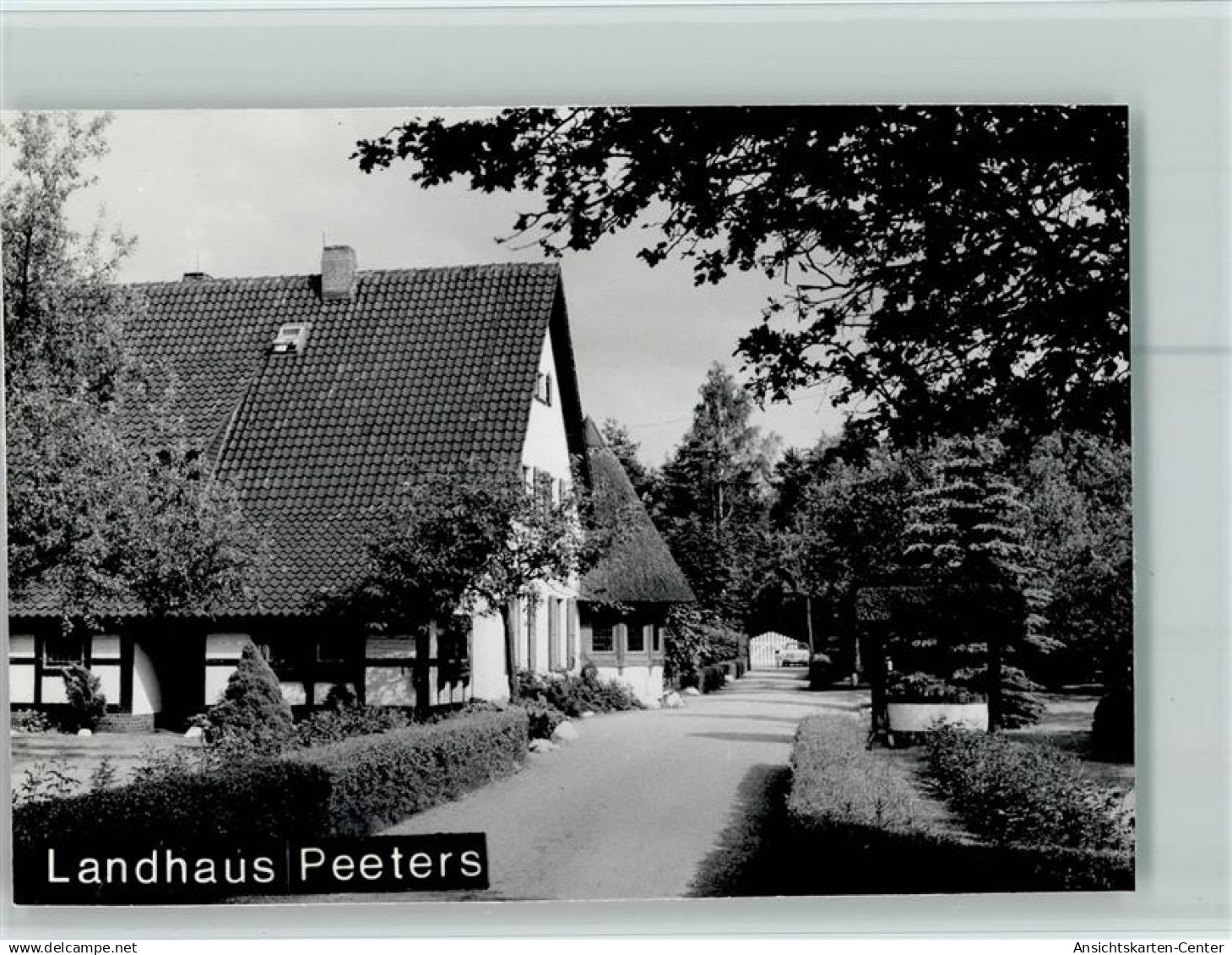 40114834 - Bissendorf , Han