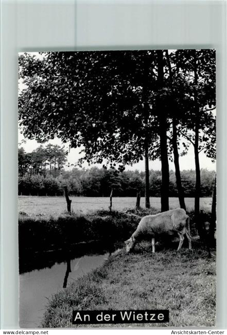 40115930 - Bissendorf , Han