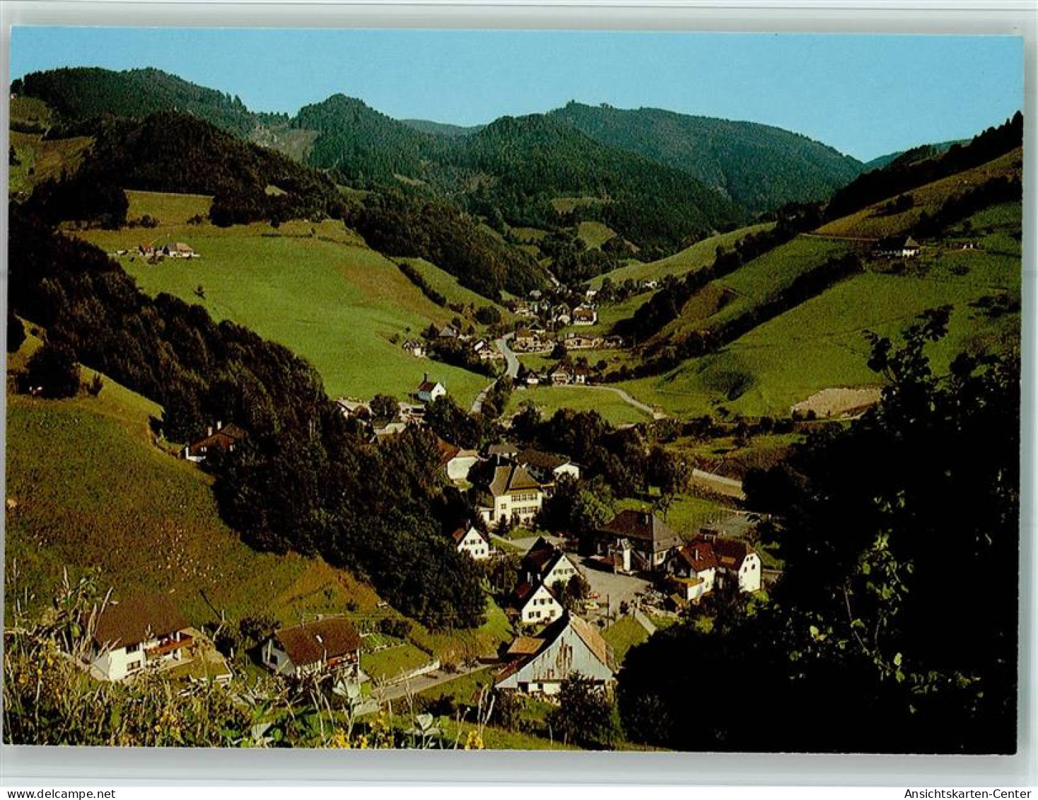 40116103 - Muenstertal , Schwarzwald