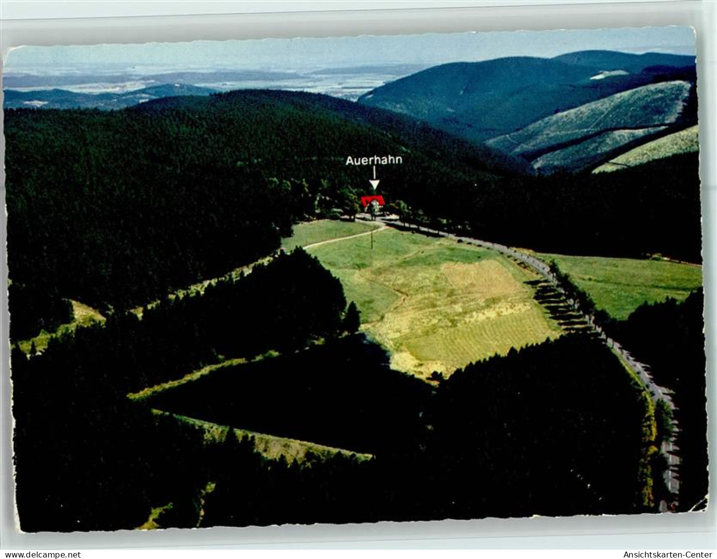 40120927 - Auerhahn , Oberharz