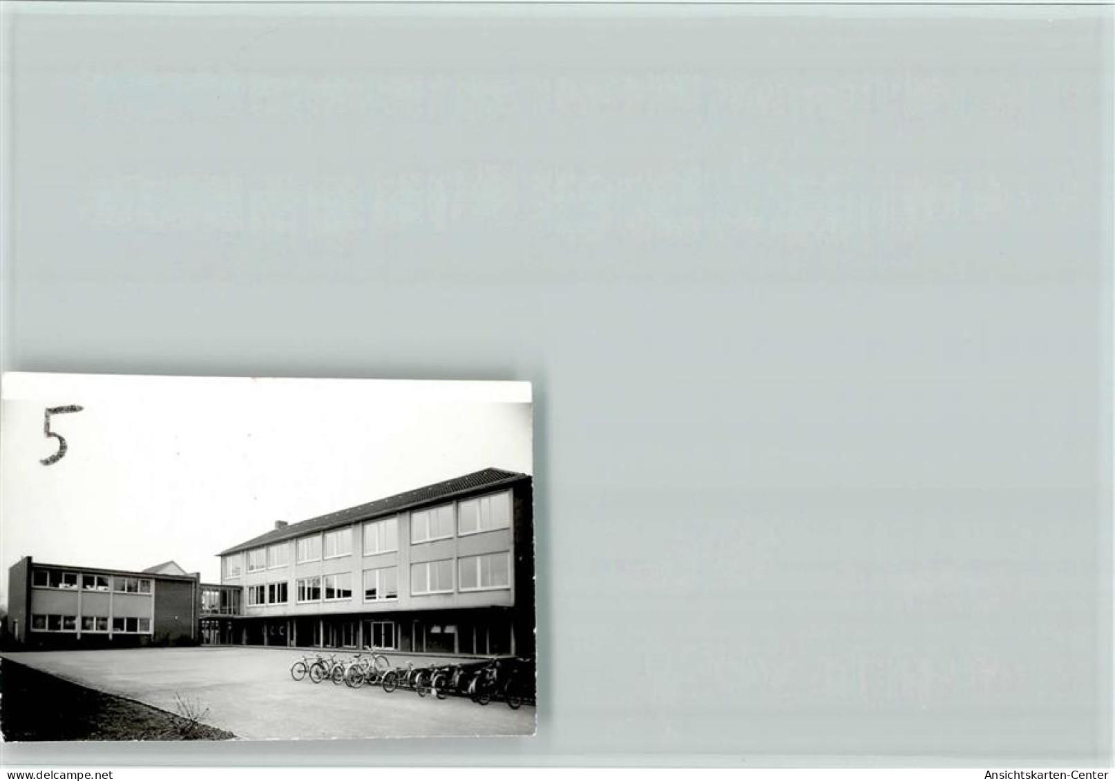 40125037 - Oesede