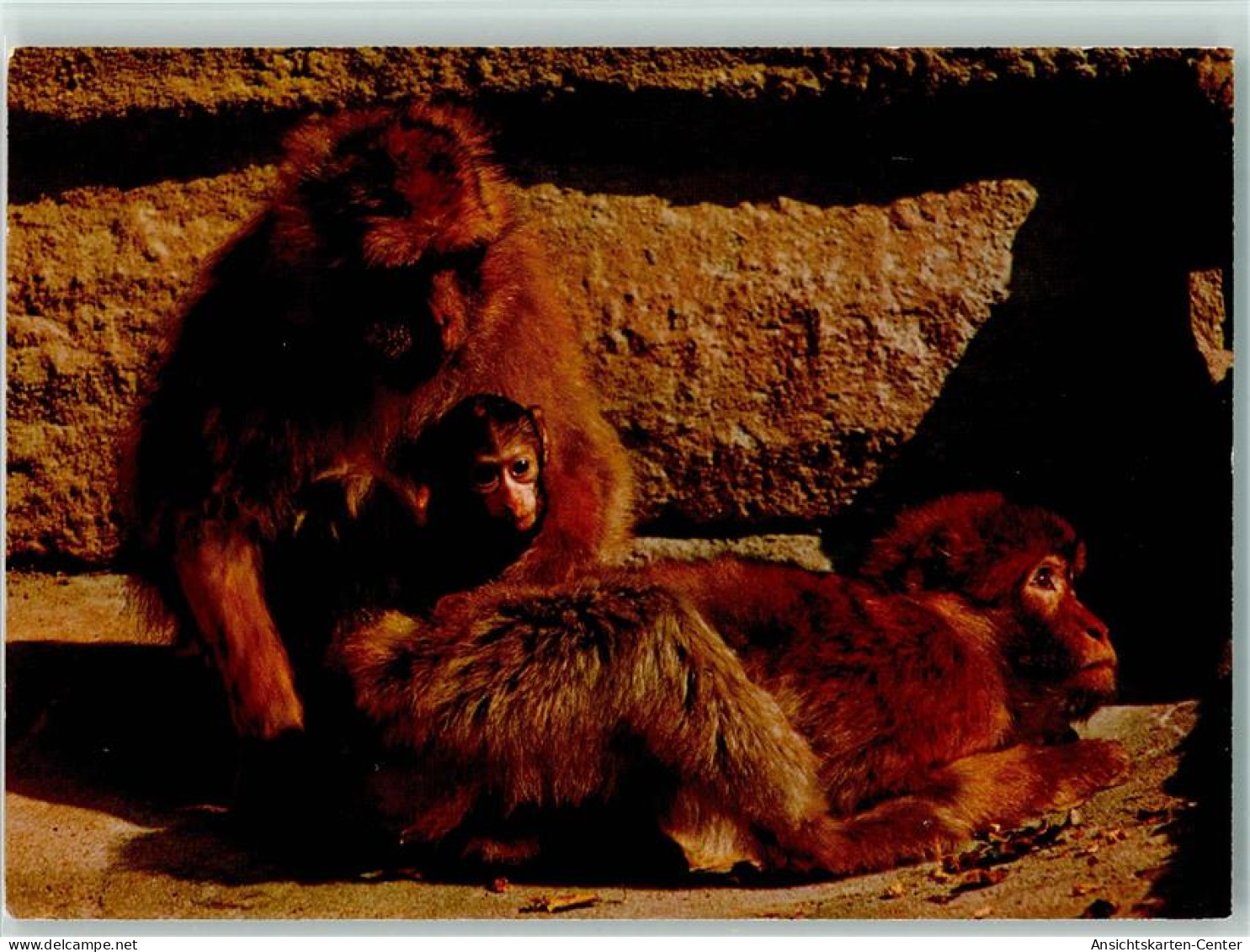 40126018 - Nuernberg