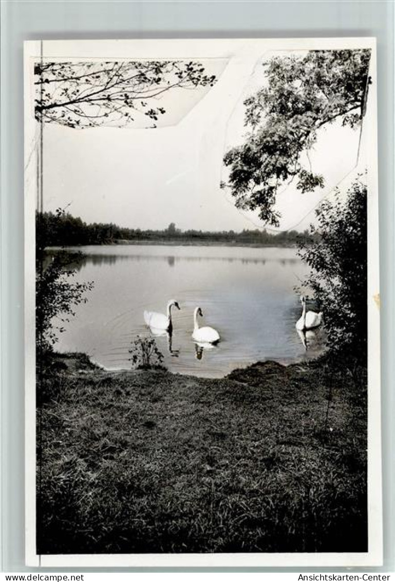 40126156 - Wettringen , Kr Steinfurt