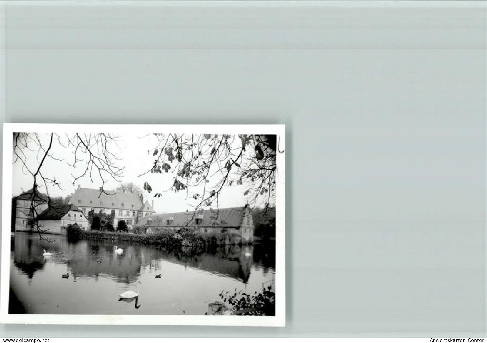 40128423 - Halle (Westf.)