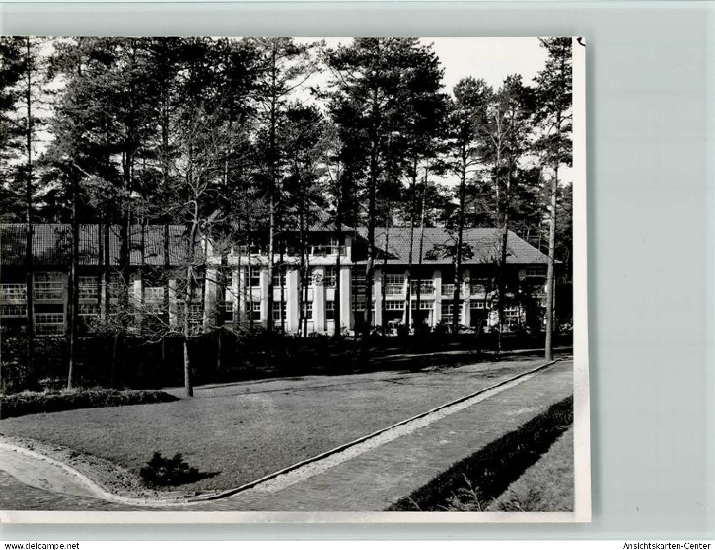 40130113 - Wildeshausen