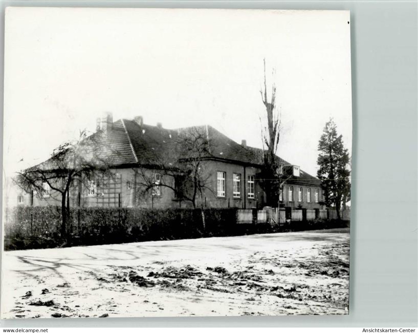 40131110 - Greven , Westf