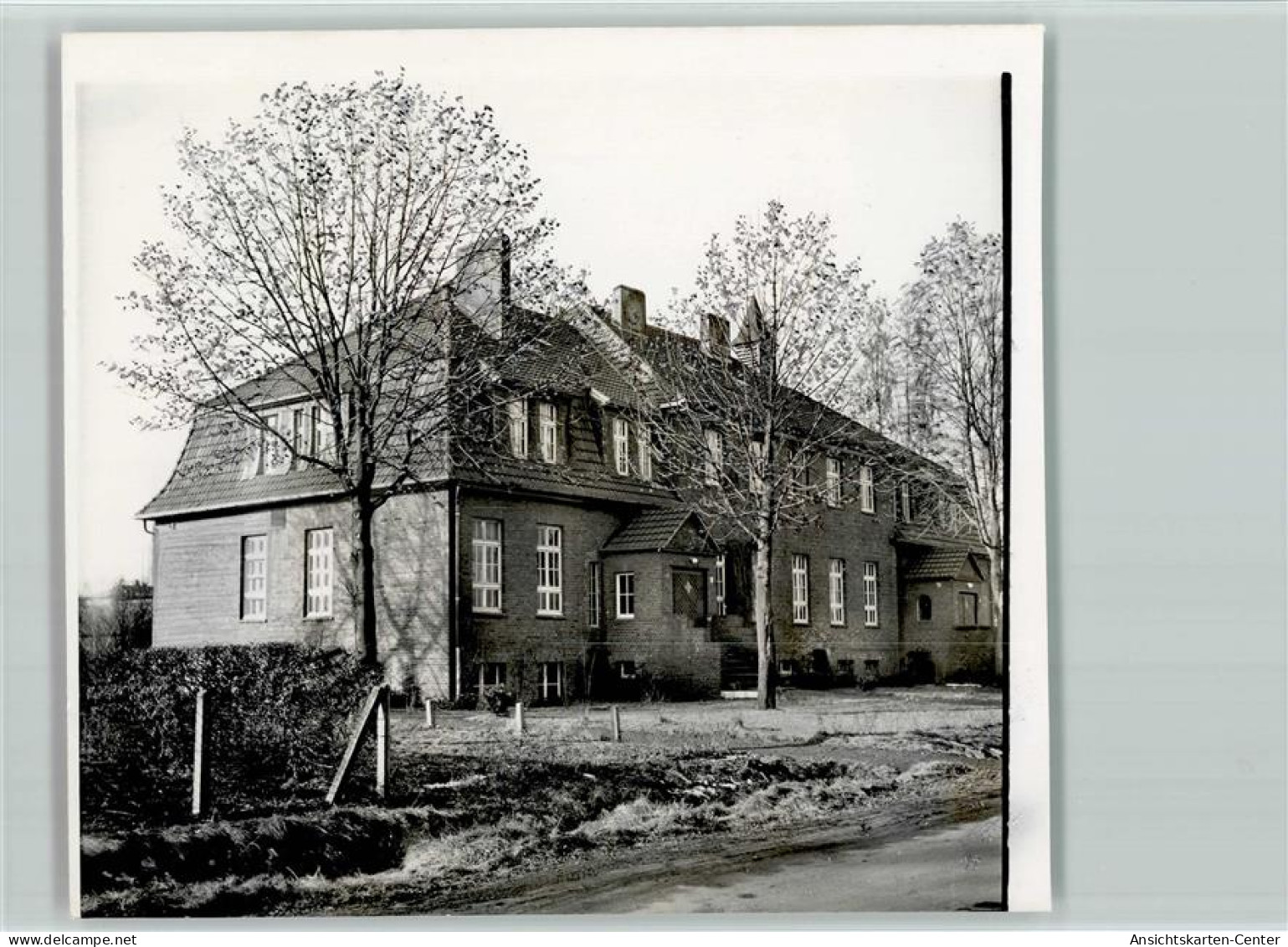 40131114 - Greven , Westf