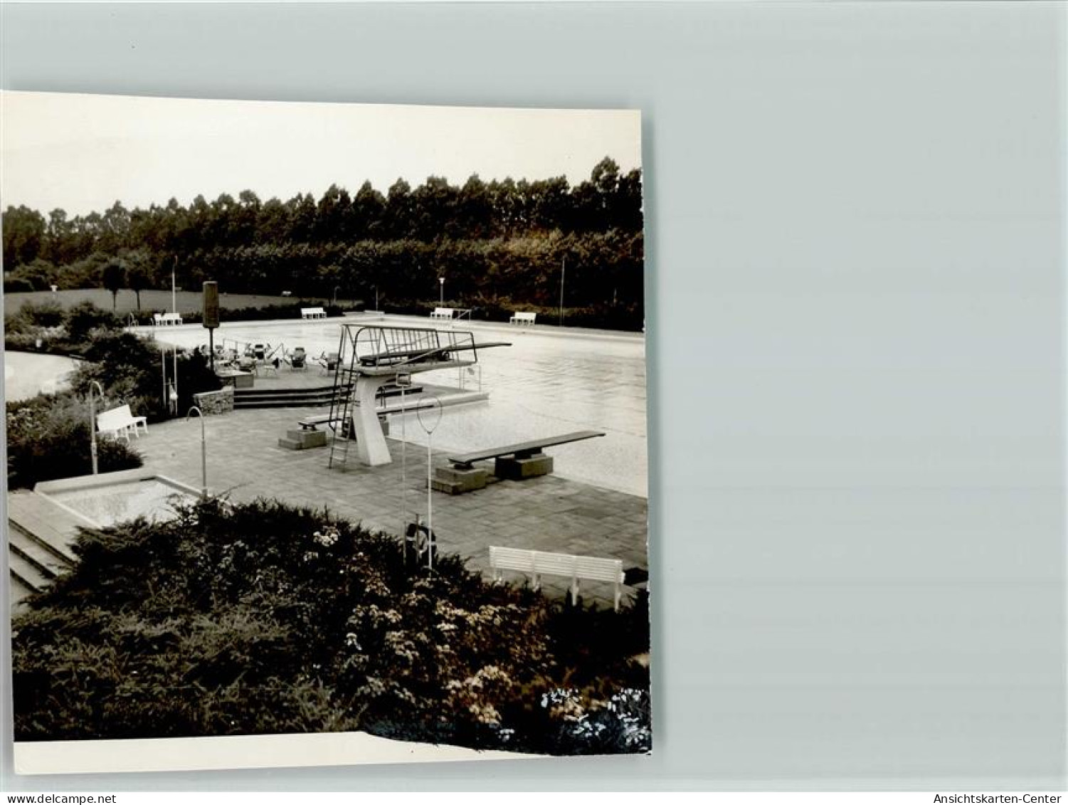 40131194 - Warendorf