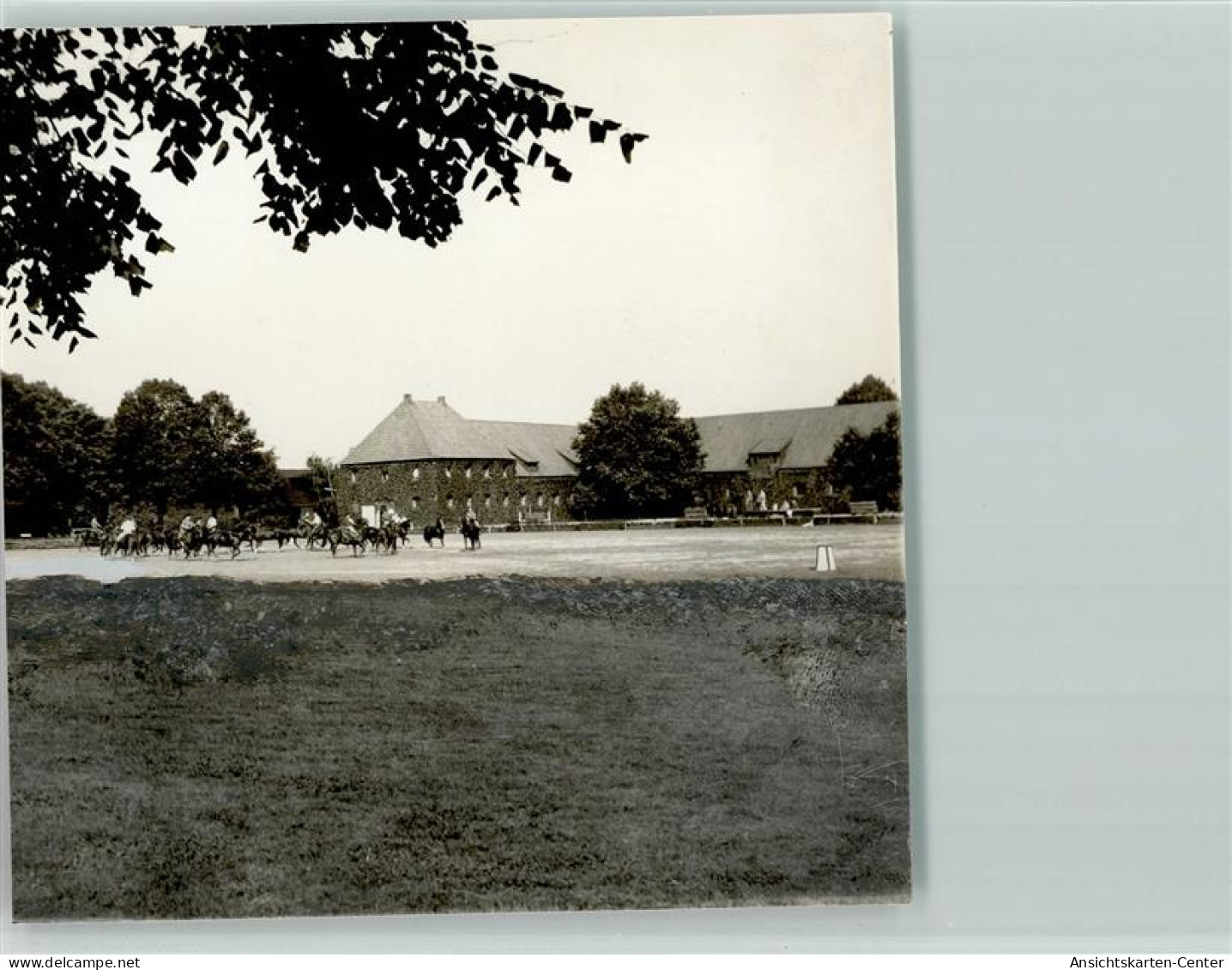 40131196 - Warendorf