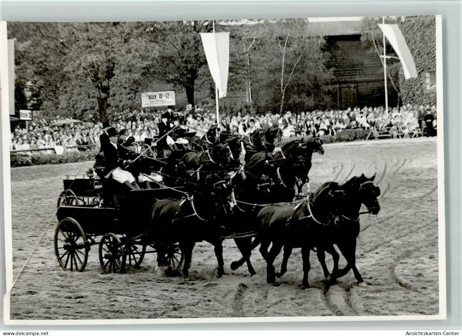 40131201 - Warendorf