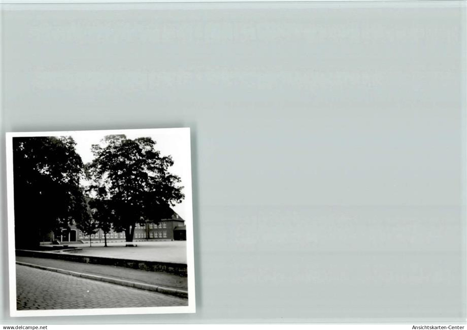 40131944 - Greven , Westf