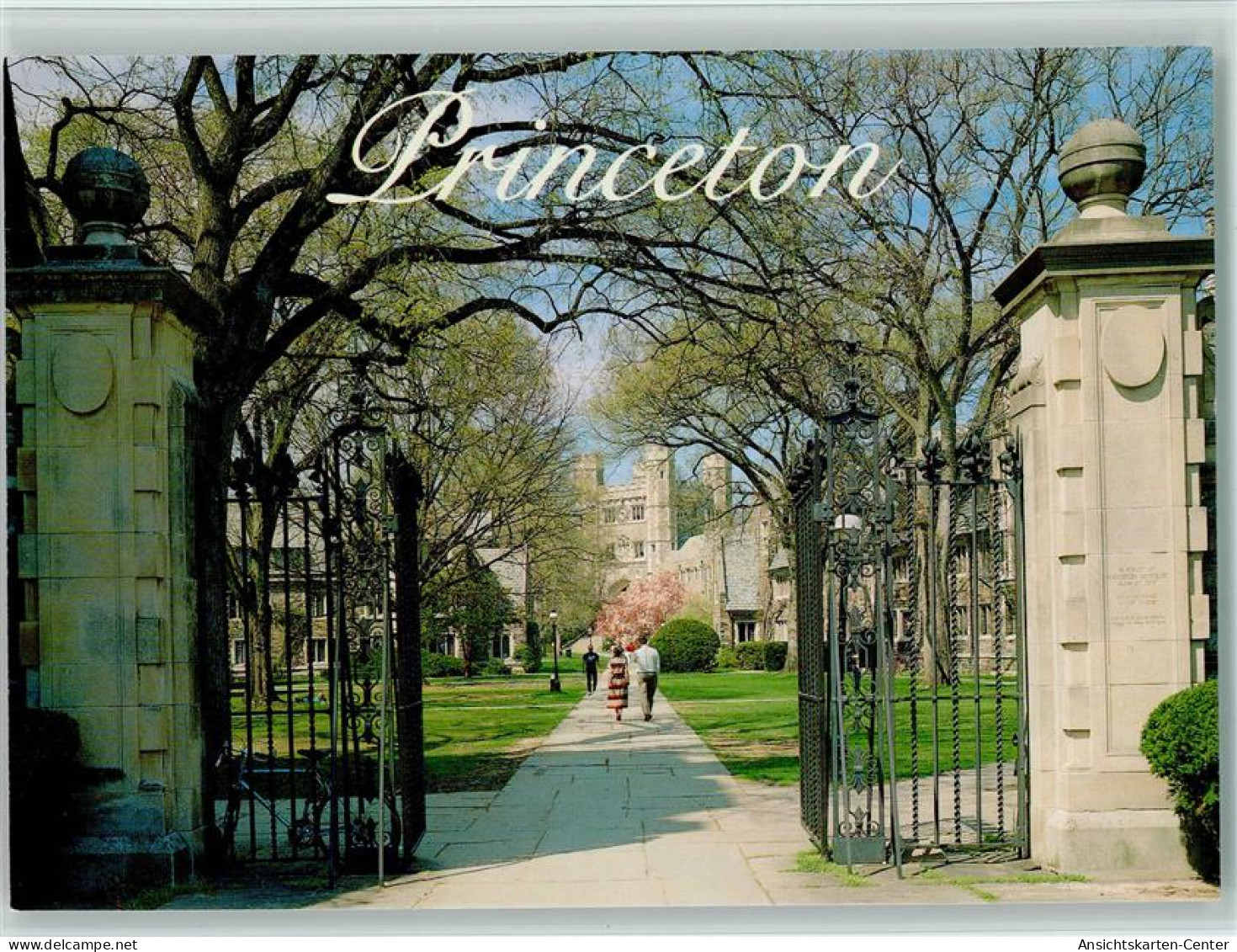 40139966 - Princeton