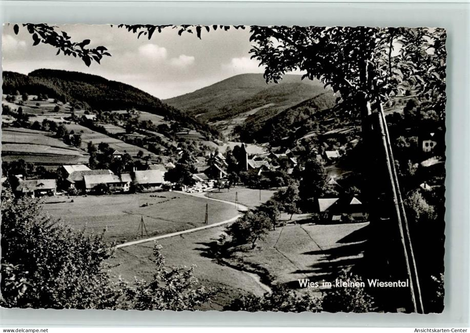 40141622 - Wies , Schwarzw